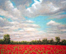 POPPIES & POPPIES OF CORTONA ITALY