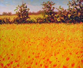 POPPIES NEAR CORTONA