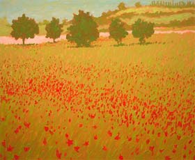 POPPY FIELDS ITALY