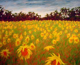 SUNFLOWERS