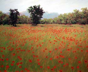 THE POPPY FIELDS