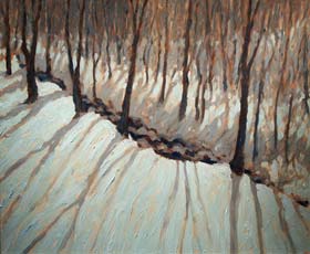 SNOW SHADOWS BY THE STREAM